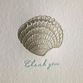 Seashell Letterpress Thank You Card - Closeup
