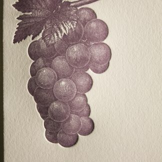 Grape Vine Letterpress Thank You Card - Closeup
