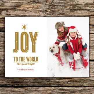 H20 - Joy to the World - Snow Portrait - Holiday Photo Card - Dolce Press