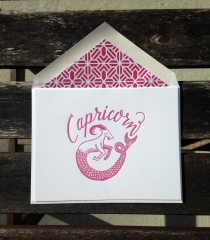 IMG_3521.2015-01-10_004645 IMG 3521.2015 01 10 004645