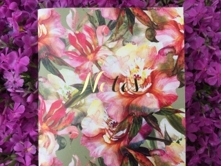 IMG_4644.2015-05-09_135250 IMG 4644.2015 05 09 135250 1024x768